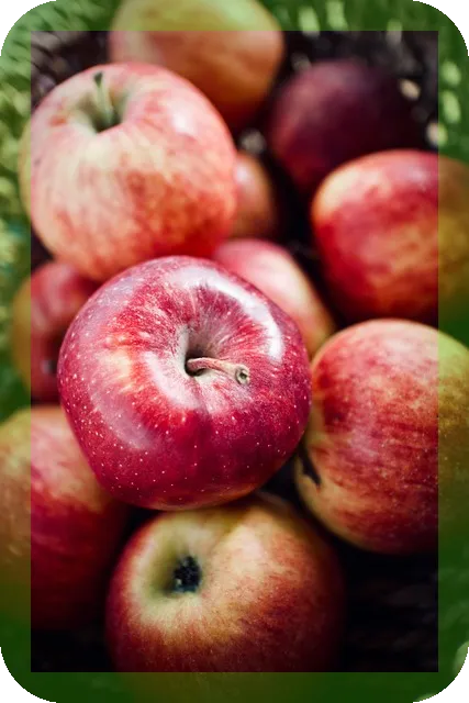 사과가 아침에 먹으면 좋은 이유, 진짜일까