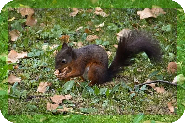 아쿠아로빅 입문 완벽가이드 이젠 수중에서 운동하자