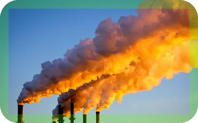 암을 예방하는 일상습관과 식단은 무엇인가