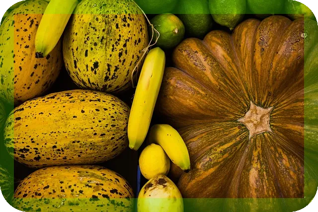 암을 예방하는 일상습관과 식단은 무엇인가