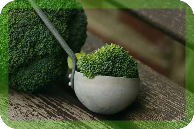 암을 예방하는 일상습관과 식단은 무엇인가