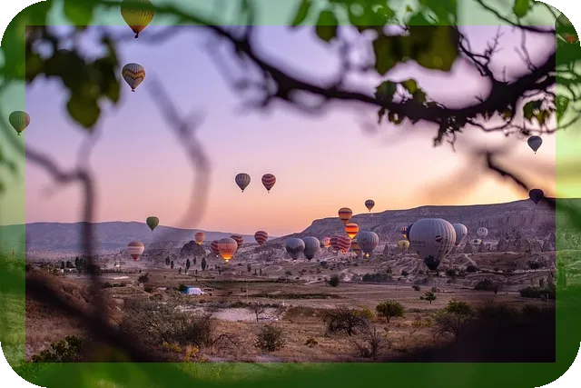 여주차 효능과 섭취주의법, 건강 개선의 비결은?