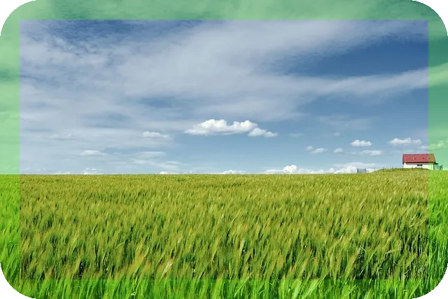 연금펀드 수령 시기에 따른 효과, 당신은 언제 시작해야 할까