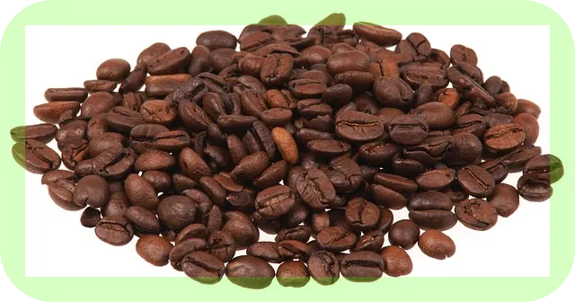 오메가6 섭취 완벽가이드: 당신의 건강을 지키는 비율은?