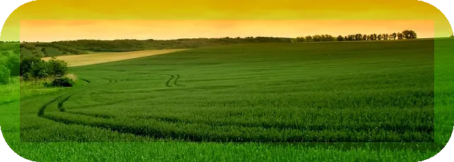 유럽 크루즈여행 추천 코스의 숨겨진 매력은?