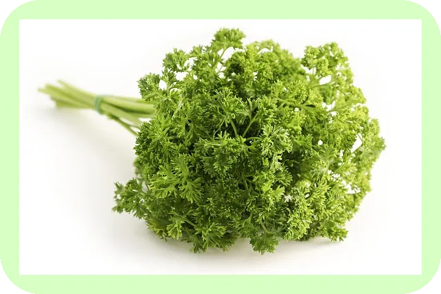 입냄새 제거에 탁월한 도움을 주는 영양제와 음식 7가지