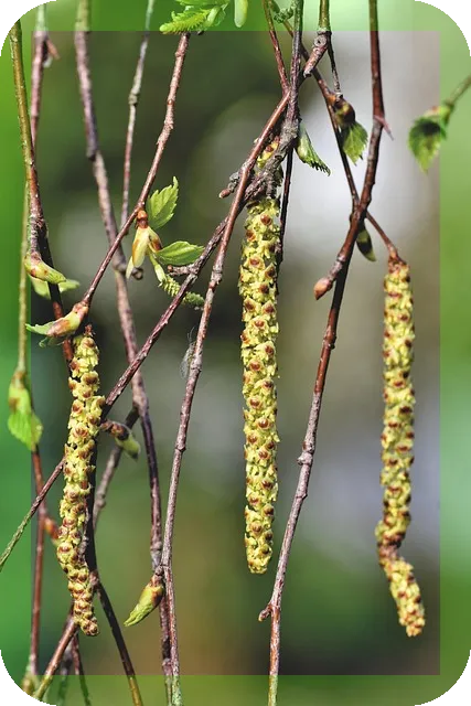 입냄새의 원인과 해결방법은?