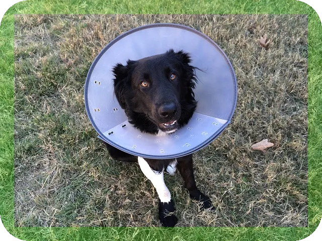 입냄새의 원인과 해결방법은?