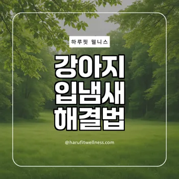 입냄새의 원인과 해결방법은?