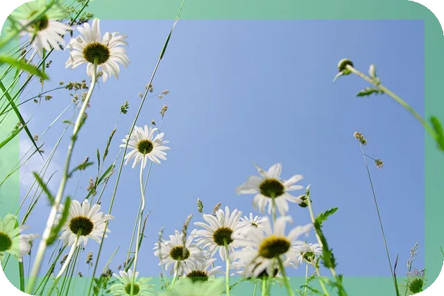 전남 보성 여행코스 추천 이곳이 꼭 가봐야 할 이유는