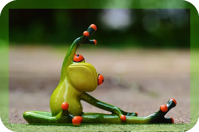 줌바댄스 다이어트 효과와 필수 팁