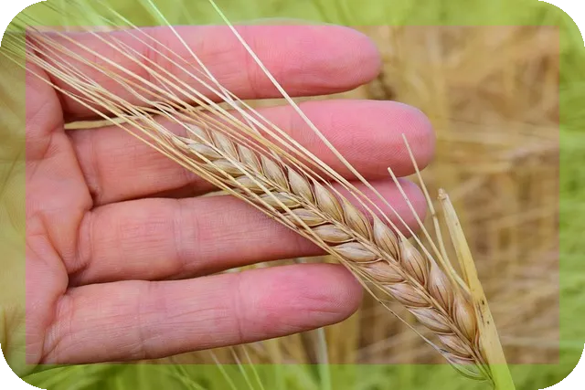 중이염 증상과 예방법 알아보자