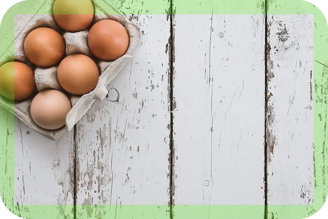 질좋은 단백질을 섭취하려면? 단백질 보충제의 진실