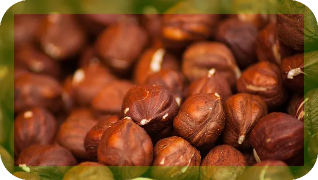 질좋은 단백질을 섭취하려면? 단백질 보충제의 진실