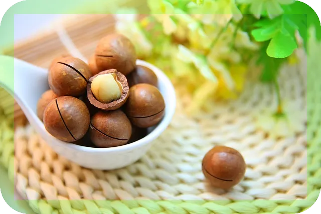 질좋은 단백질을 섭취하려면? 단백질 보충제의 진실