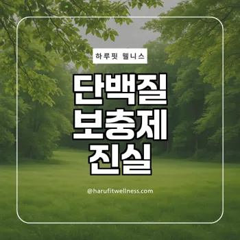 질좋은 단백질을 섭취하려면? 단백질 보충제의 진실