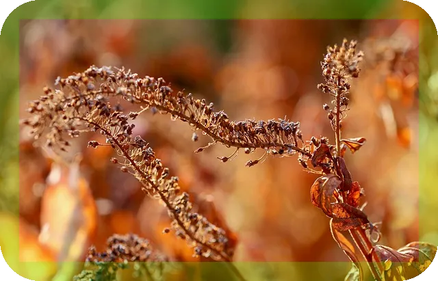 침을 잘 못삼킬때 원인과 대처법 알아보자