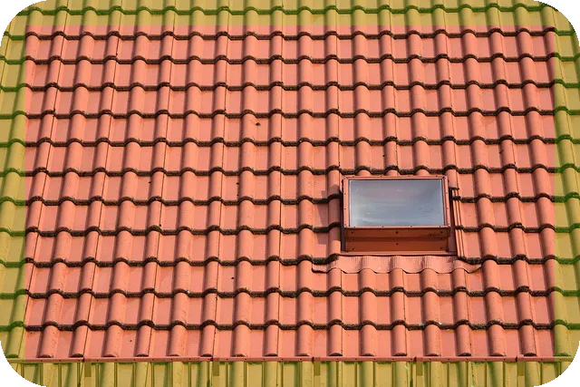 카레가 우리몸에 미치는 효능과 위험 요소는?