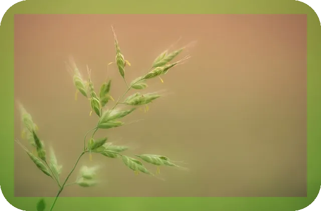코가 건조해질때 해결방법으로 비염 완화하는 법은?