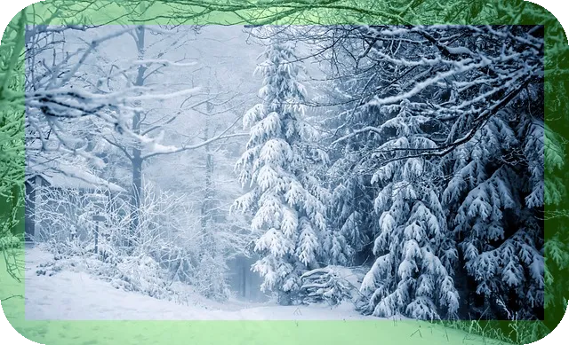 틱장애의 전조증상과 원인 알아보자