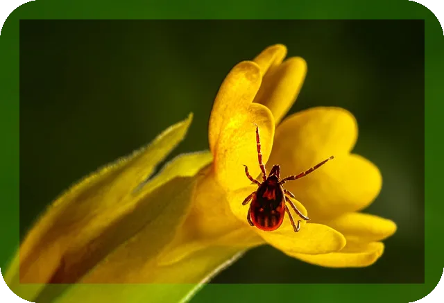 틱장애의 전조증상과 원인 알아보자