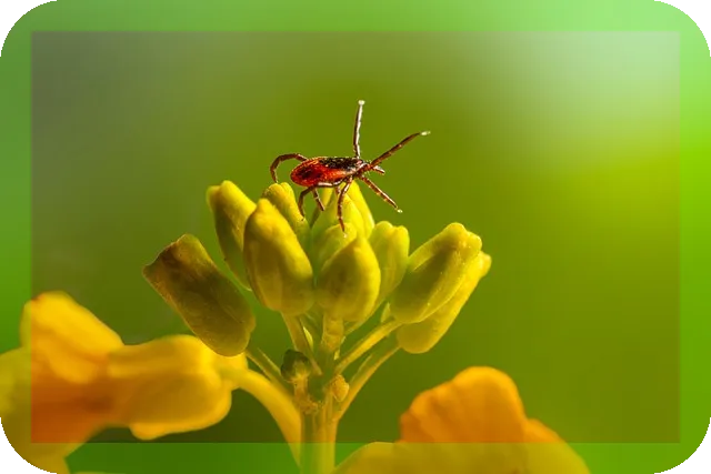 틱장애의 전조증상과 원인 알아보자