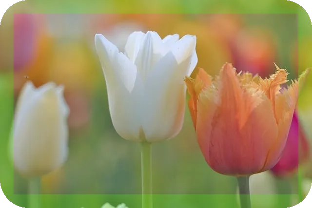 하루를 활기차게 보내는 운동법으로 목요일 극복하기