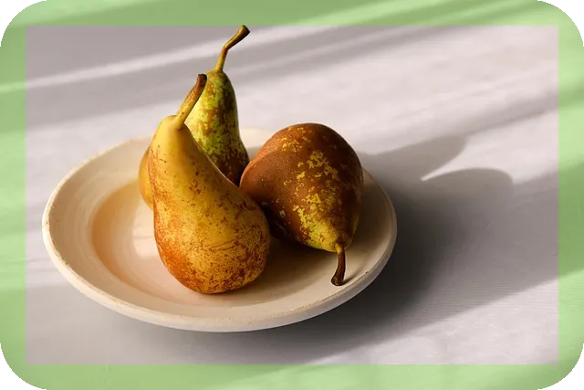 한약다이어트 장단점과 주의점은 무엇일까