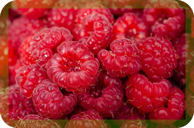 항노화와 숙면의 관계 무엇일까