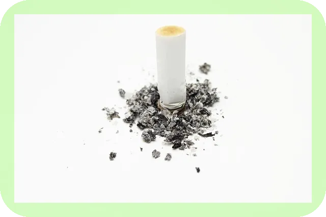 항노화와 숙면의 관계 무엇일까