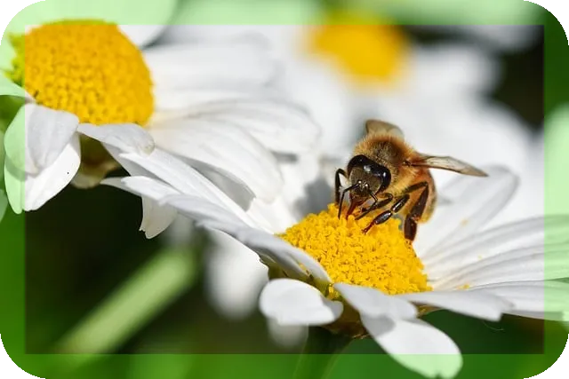 10분 복근 홈트레이닝으로 탄탄한 몸 만들기