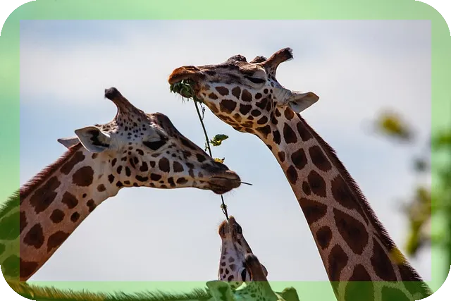 3분 목스트레칭법으로 거북목을 교정해볼까요