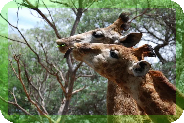 3분 목스트레칭법으로 거북목을 교정해볼까요