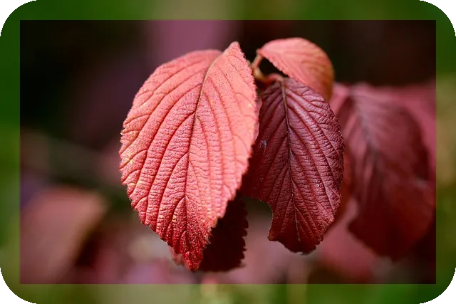 40대부터 준비하는 노후자금 준비 방법은?