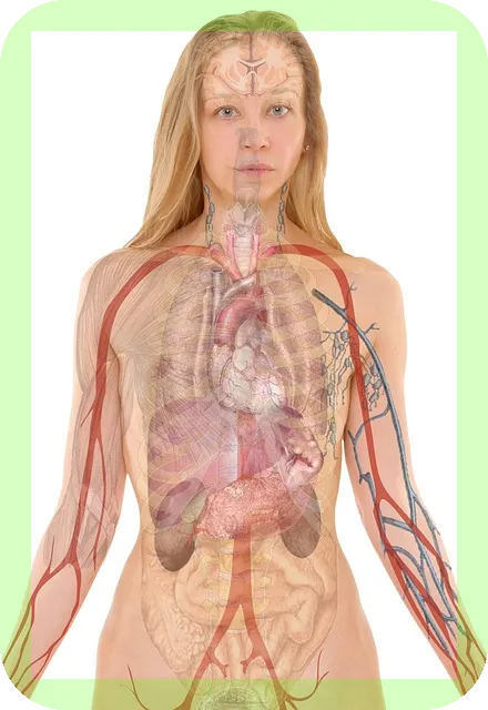 S&P500 지수 장기투자 가이드, 수익률 극대화 비법은?