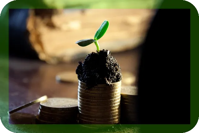 S&P500 지수 장기투자 가이드, 수익률 극대화 비법은?