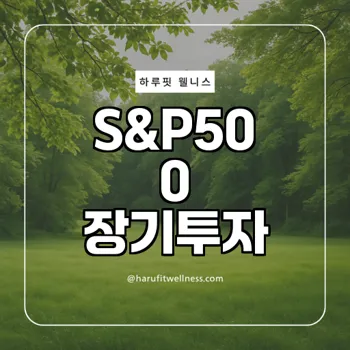 S&P500 지수 장기투자 가이드, 수익률 극대화 비법은?