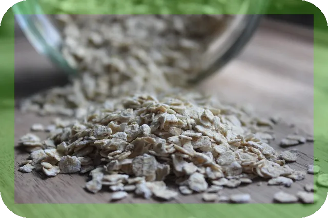 귀리의 효능과 맛있게 먹는법 궁금하신가요