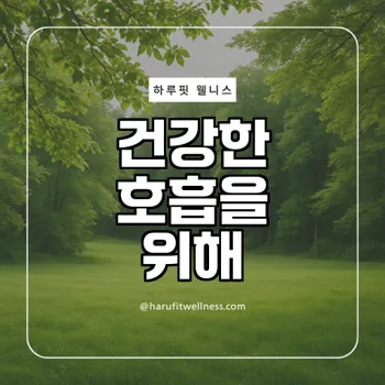 꾸준히 차를 복용하면 얻는 건강효능은?