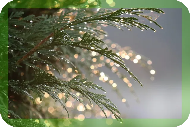 나이제한없는 온라인부업 가이드, 수익을 극대화할 기회는?