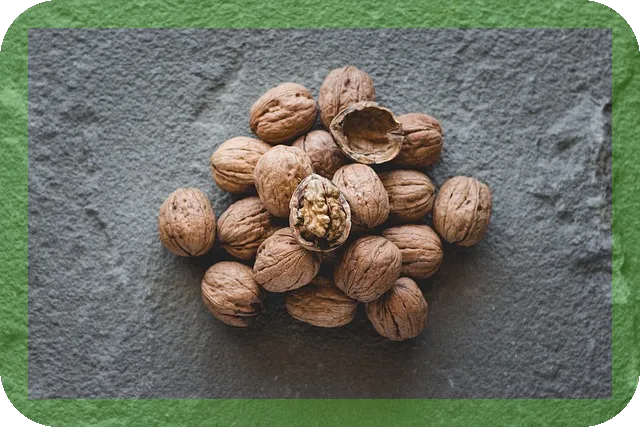 노인 필수 건강보조제 알부민이란?