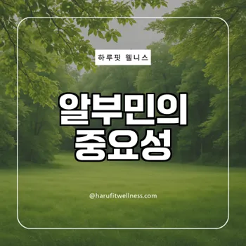 노인 필수 건강보조제 알부민이란?