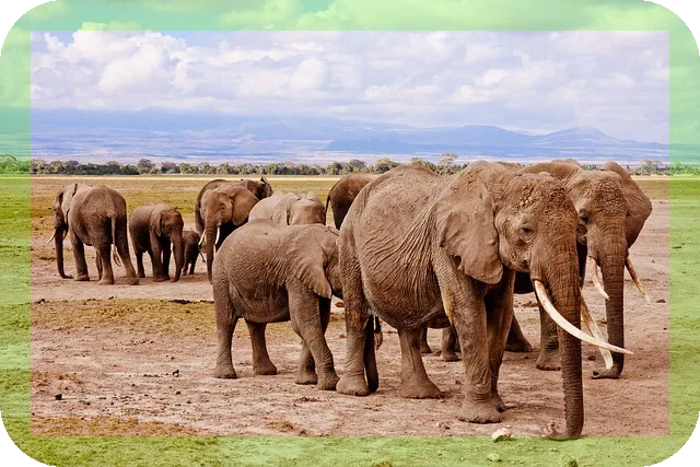 다낭 가족여행 가이드 패키지와 단독투어 어떤 차이?