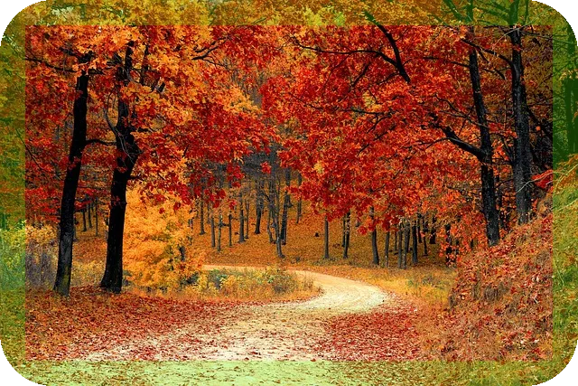 대자연을 느낄수 있는 여행지 탑5 어떤 곳이 있을까