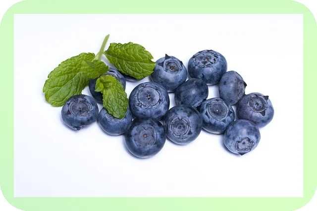 맛있는 블루베리 고르는법은 무엇일까