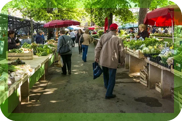 미국 여행 완벽 가이드 비자와 시차 정복하기