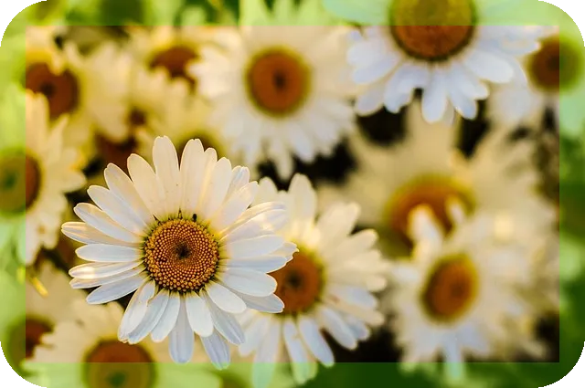 부모님 동유럽 패키지 여행지 추천은?