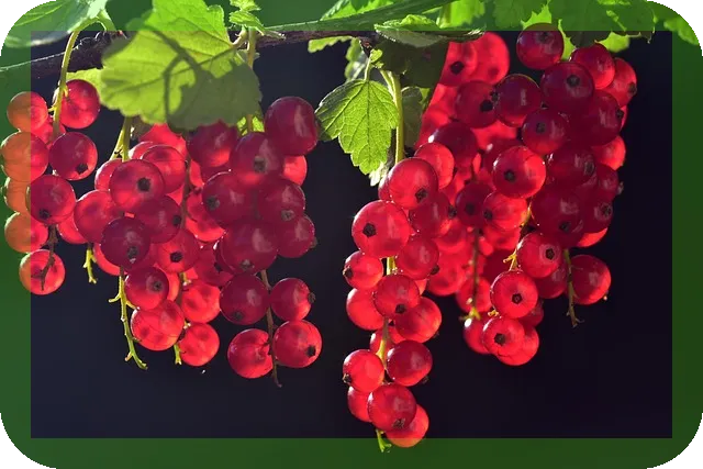 비타민 D 영양 결핍시 증상과 영양제 추천 알아보자