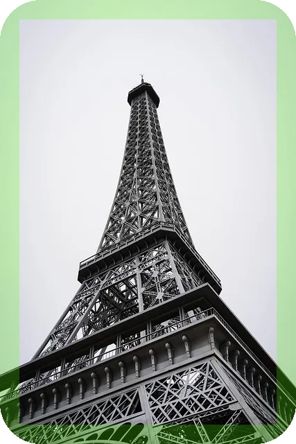 비타민 D 영양 결핍시 증상과 영양제 추천 알아보자