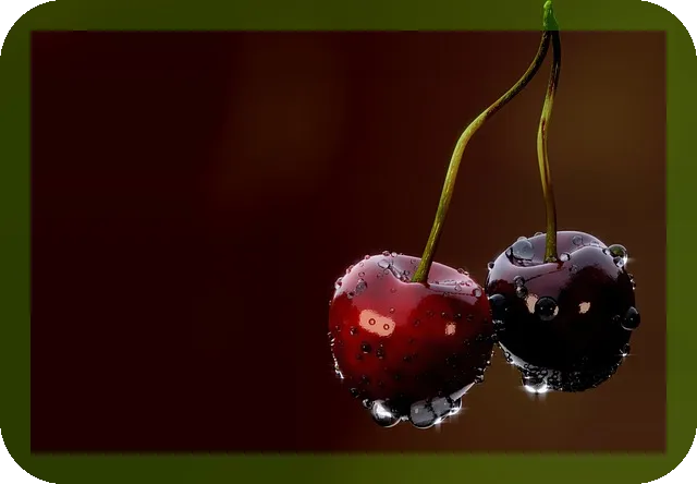 비타민 D 영양 결핍시 증상과 영양제 추천 알아보자